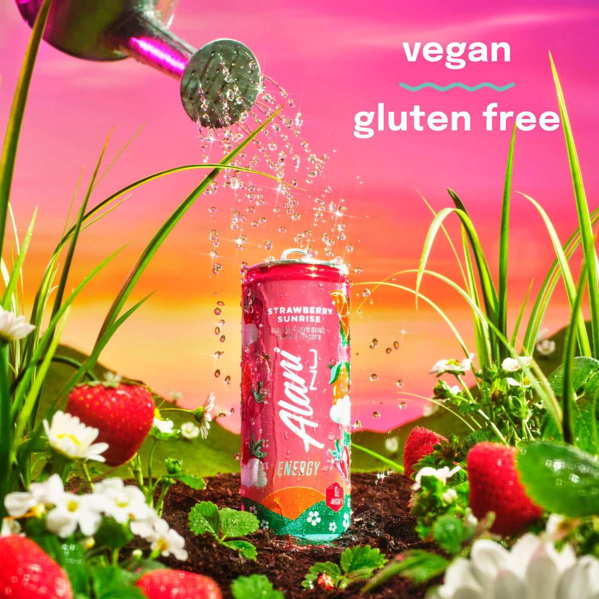 Alani Nu Strawberry Sunrise Sugar Free Energy Drink – 200 mg Caffeine, 12 Pack