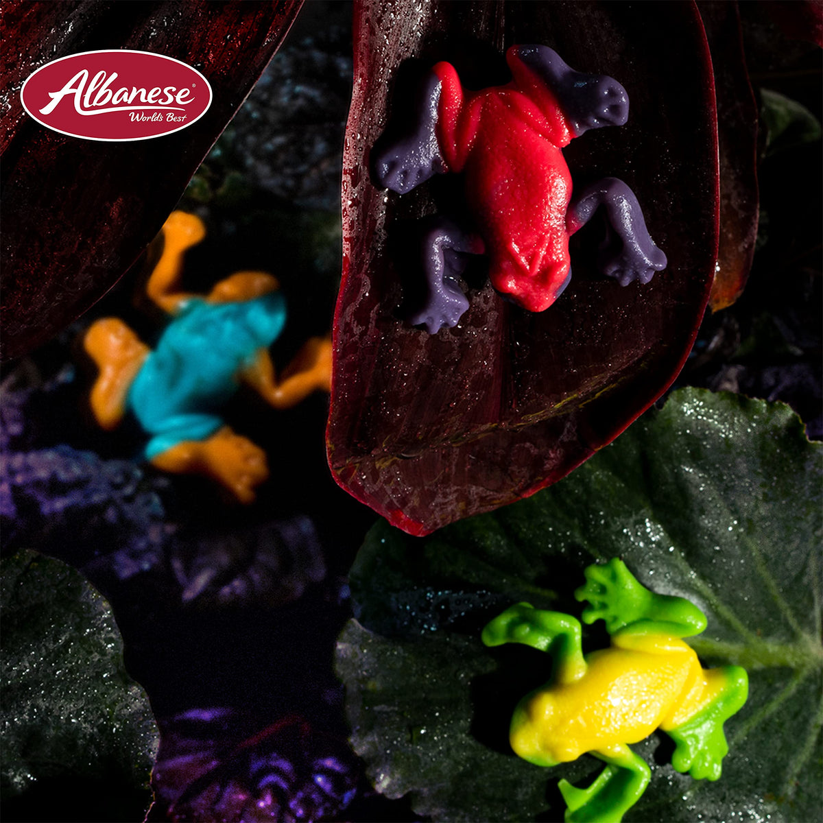 Albanese Gummi Rainforest Frogs - 5 lb Bulk Bag | Fresh Fruity Gummies