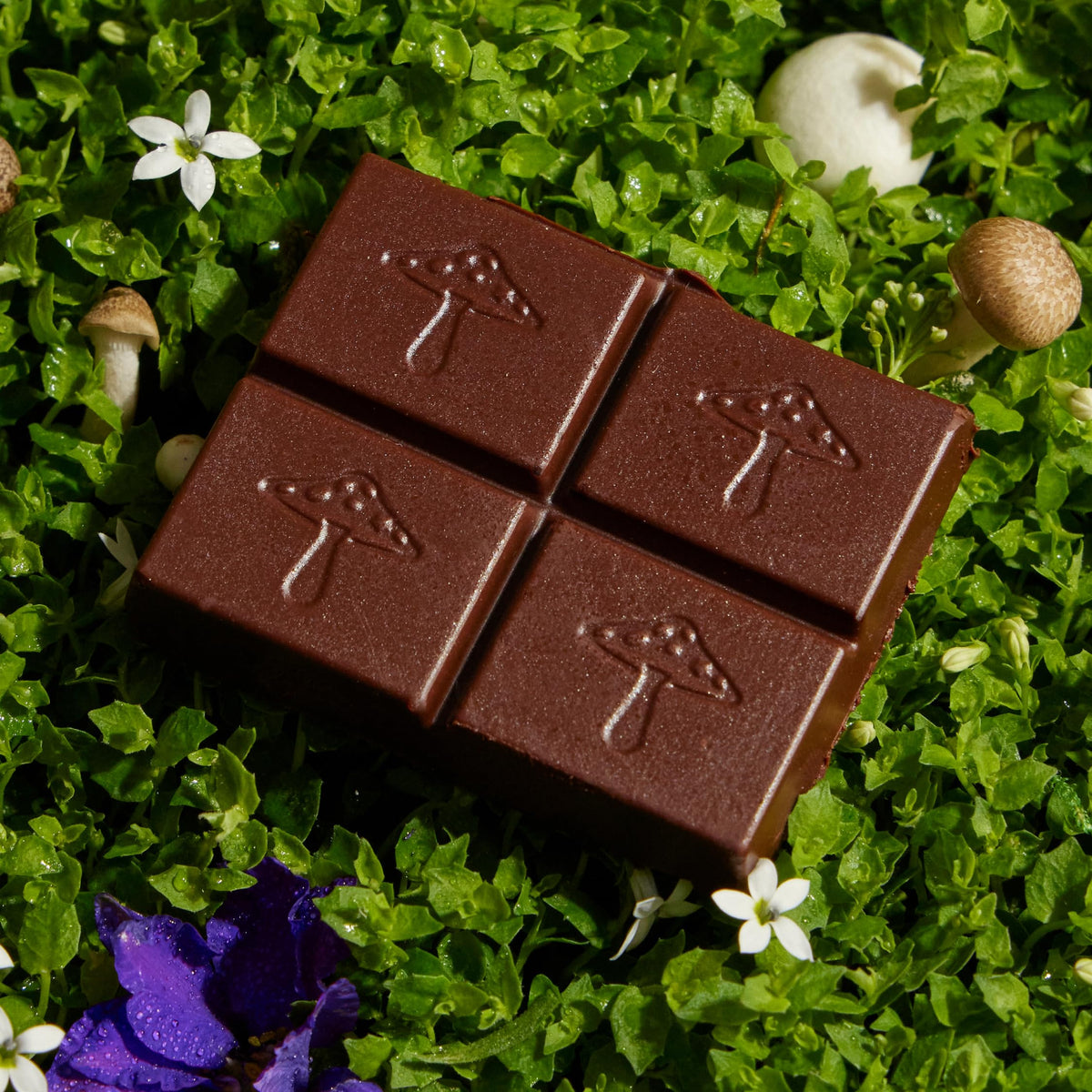 Alice Mushrooms Happy Ending — Mood & Energy Chocolate with Cordyceps