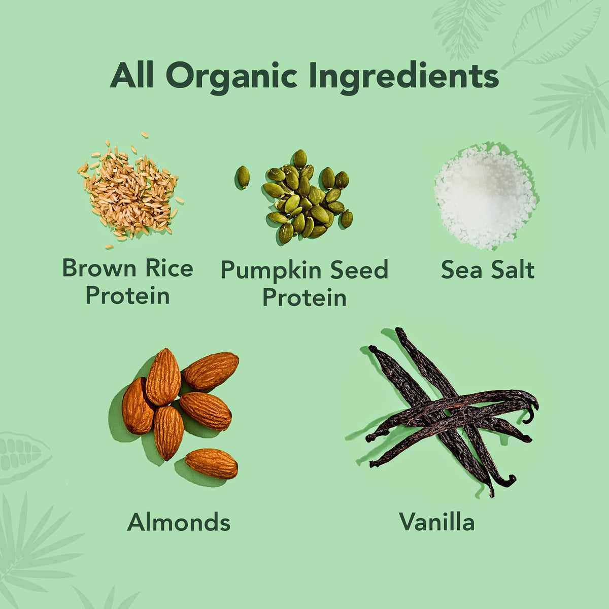 ALOHA Organic Plant-Based Protein Bars – Vanilla Almond Crunch, 1.98 oz, Pack of 12 | Vegan, Gluten-Free