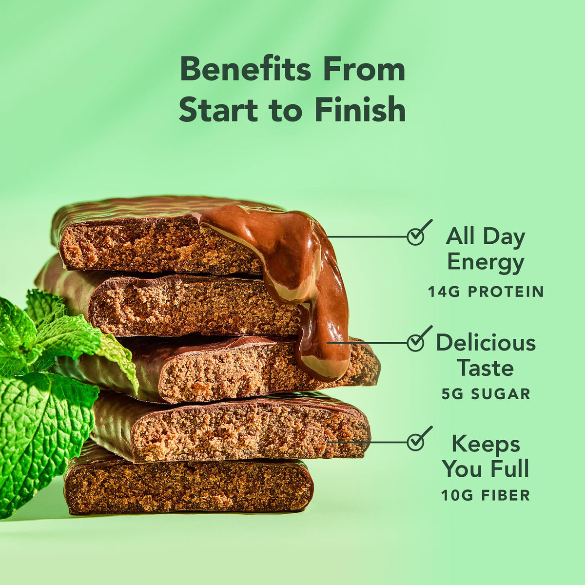 ALOHA Organic Plant-Based Protein Bars - Chocolate Mint, 1.98 oz (Pack of 12)