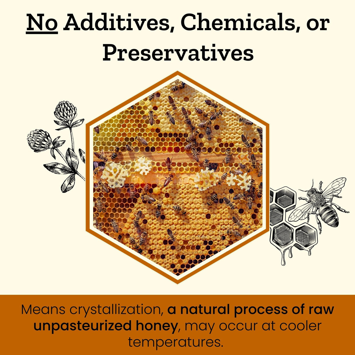 Altay Meadows Raw Acacia Honey – 100% Pure, Unfiltered, 908g Jar