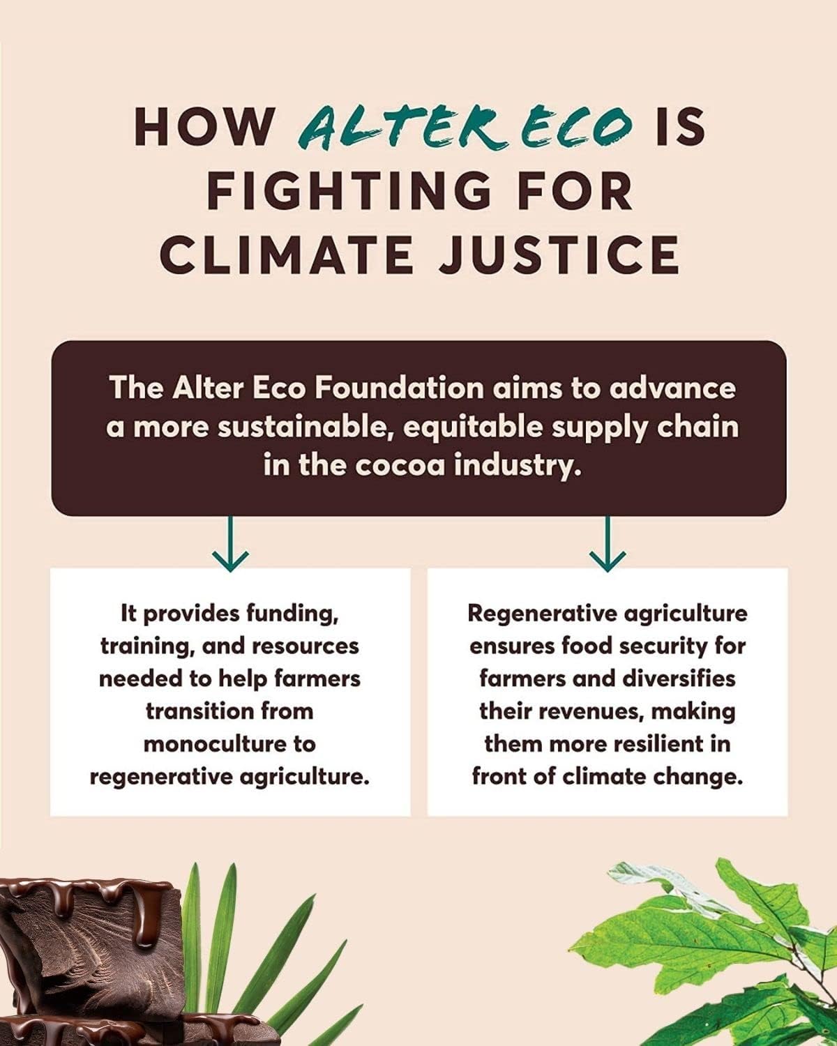 Alter Eco Dark Chocolate Variety Pack 5pk – Blackout 85%, Quinoa Crunch, Sea Salt Organic, Superdark Mint, 100% Cacao