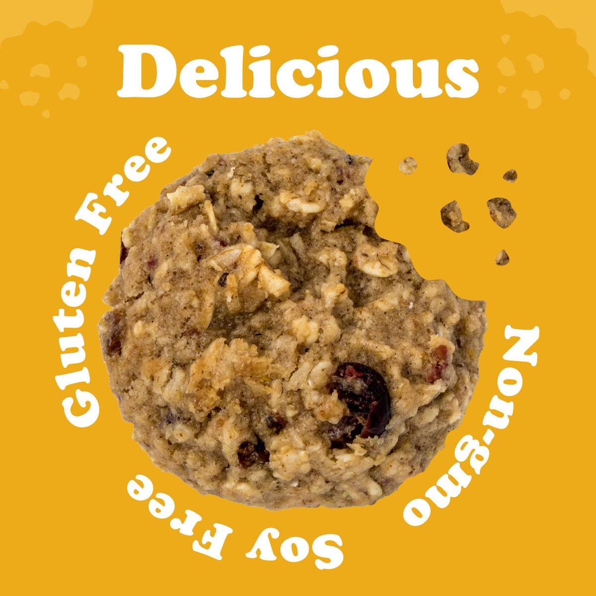 Alyssa’s Vegan Oatmeal Bites | Gluten Free, Dairy Free & Low Carb (4 Pack)
