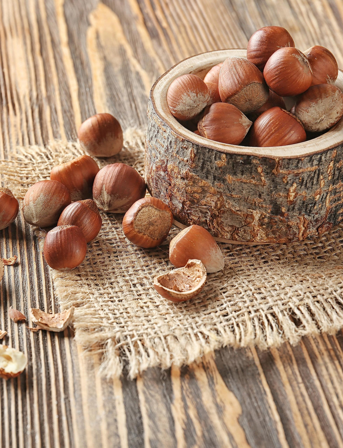 Anna and Sarah Large Oregon Hazelnuts in Shell – 2.5 Lbs