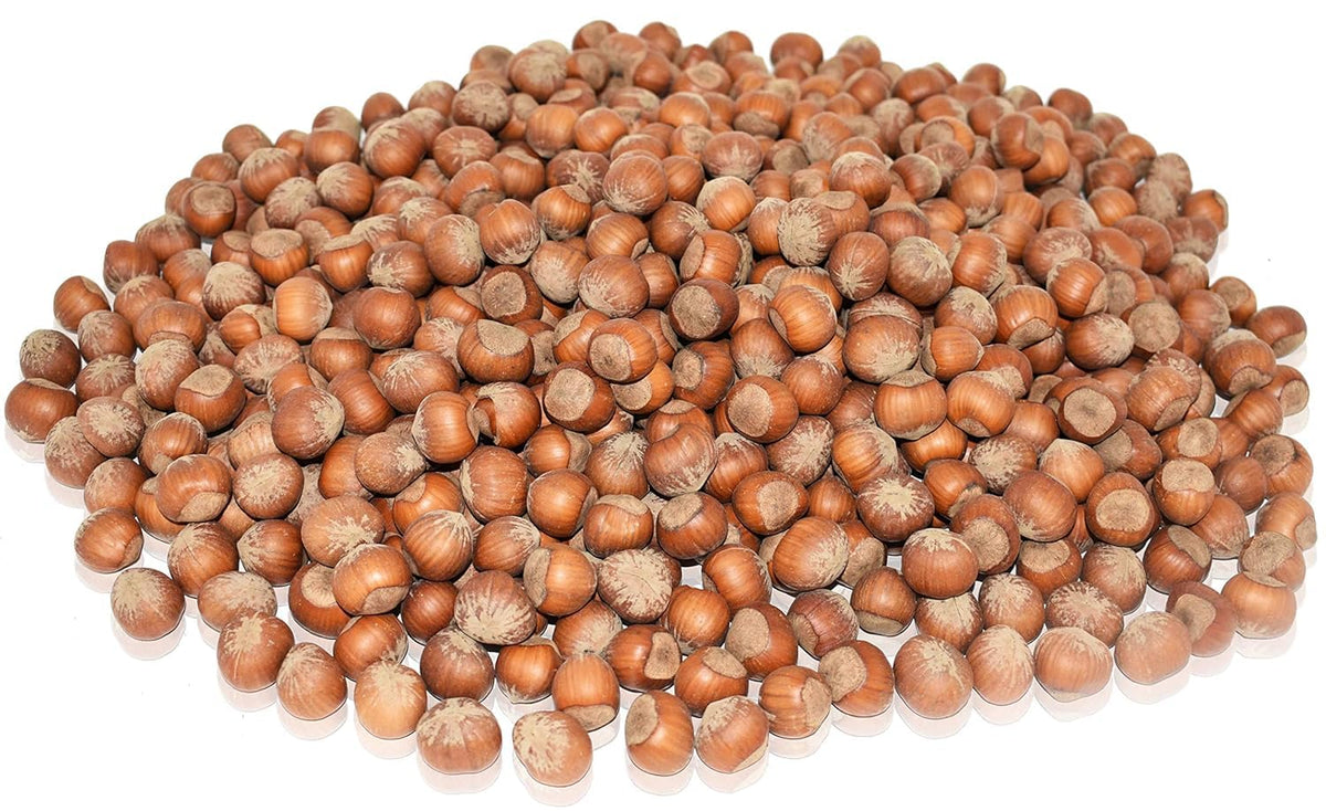Anna and Sarah Oregon Hazelnuts In Shell – 10 lb (160 oz), Kosher, Non-GMO, Fresh & Easy to Crack