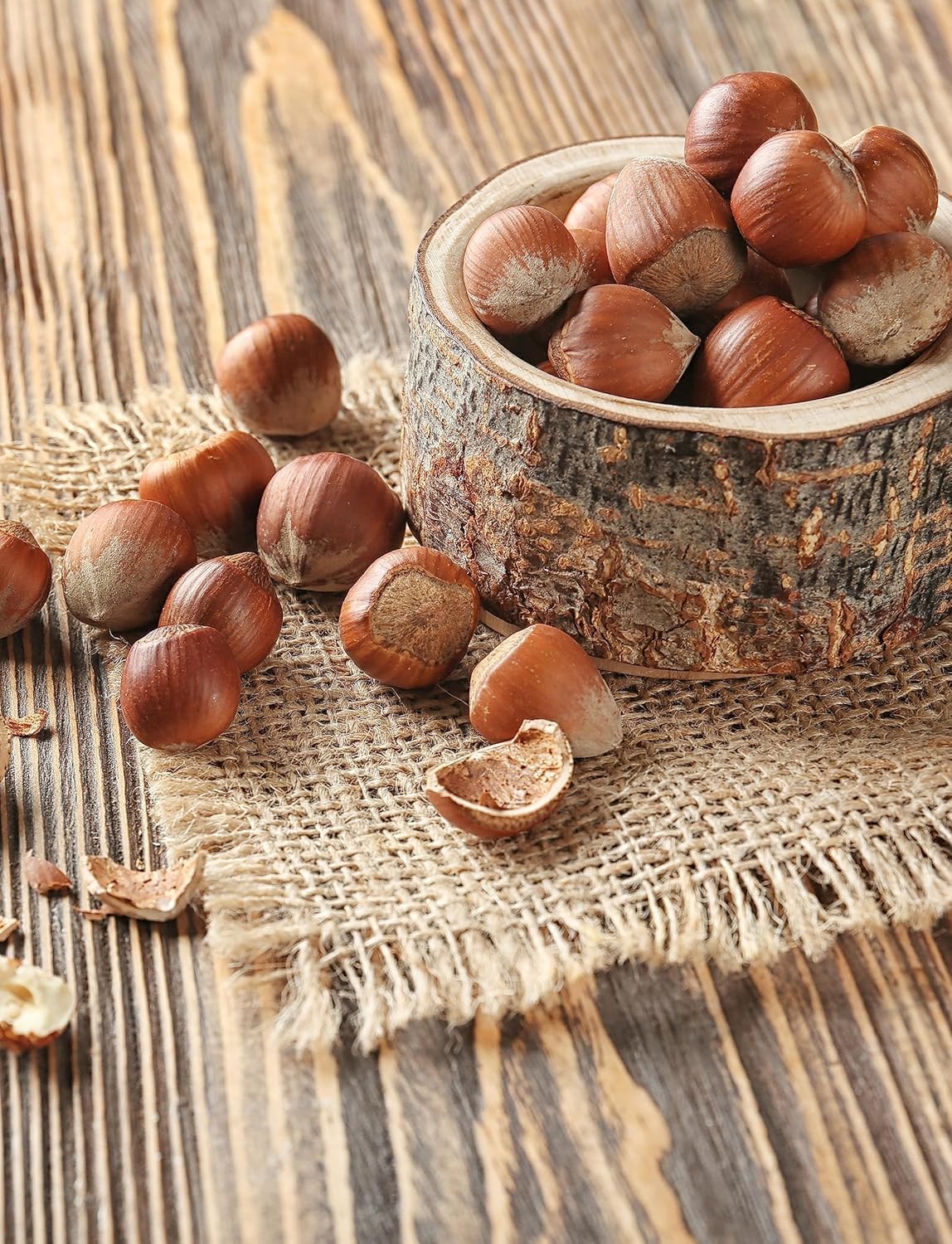 Anna and Sarah Oregon Hazelnuts In Shell – 10 lb (160 oz), Kosher, Non-GMO, Fresh & Easy to Crack