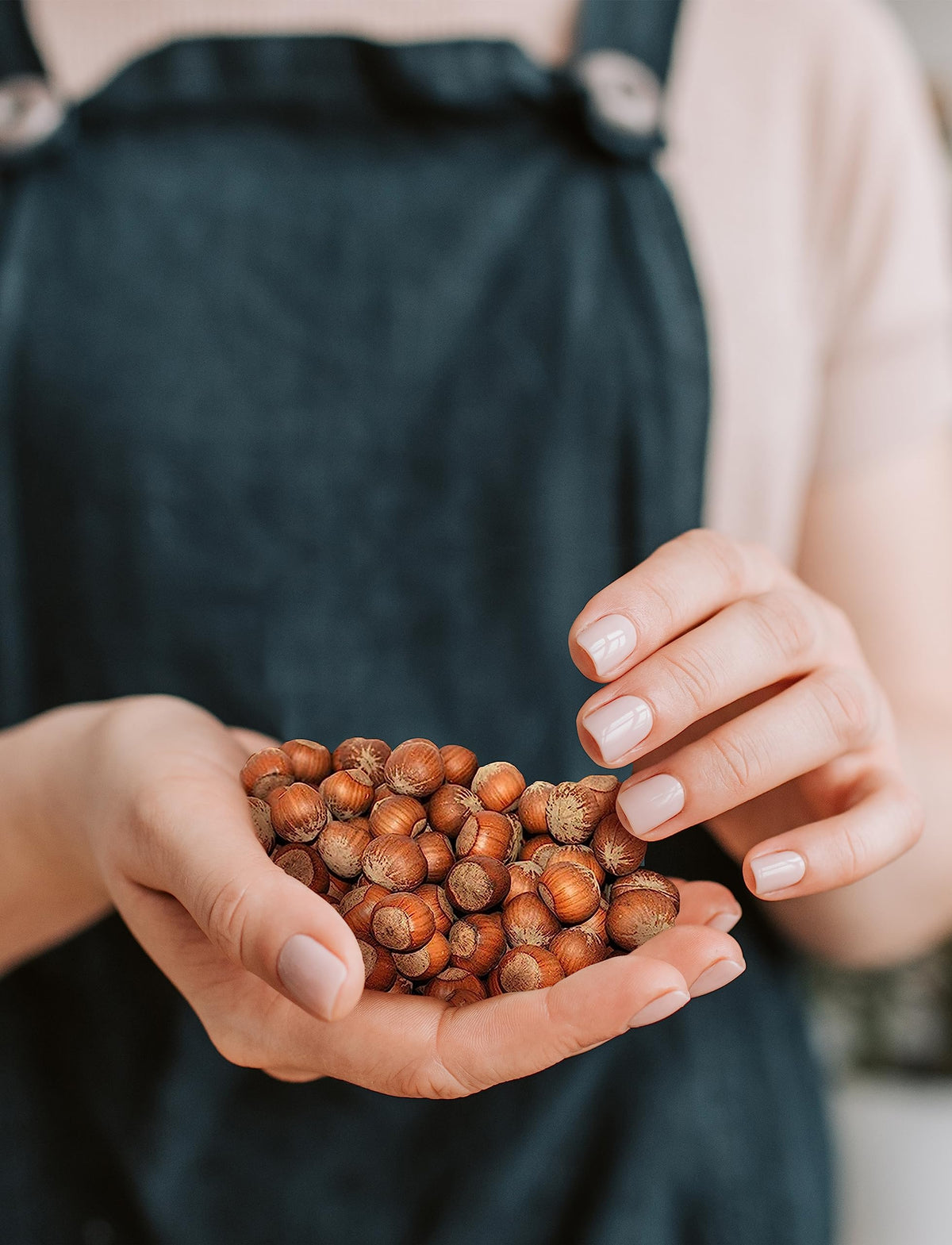 Anna and Sarah Large Oregon Hazelnuts in Shell – 2.5 Lbs