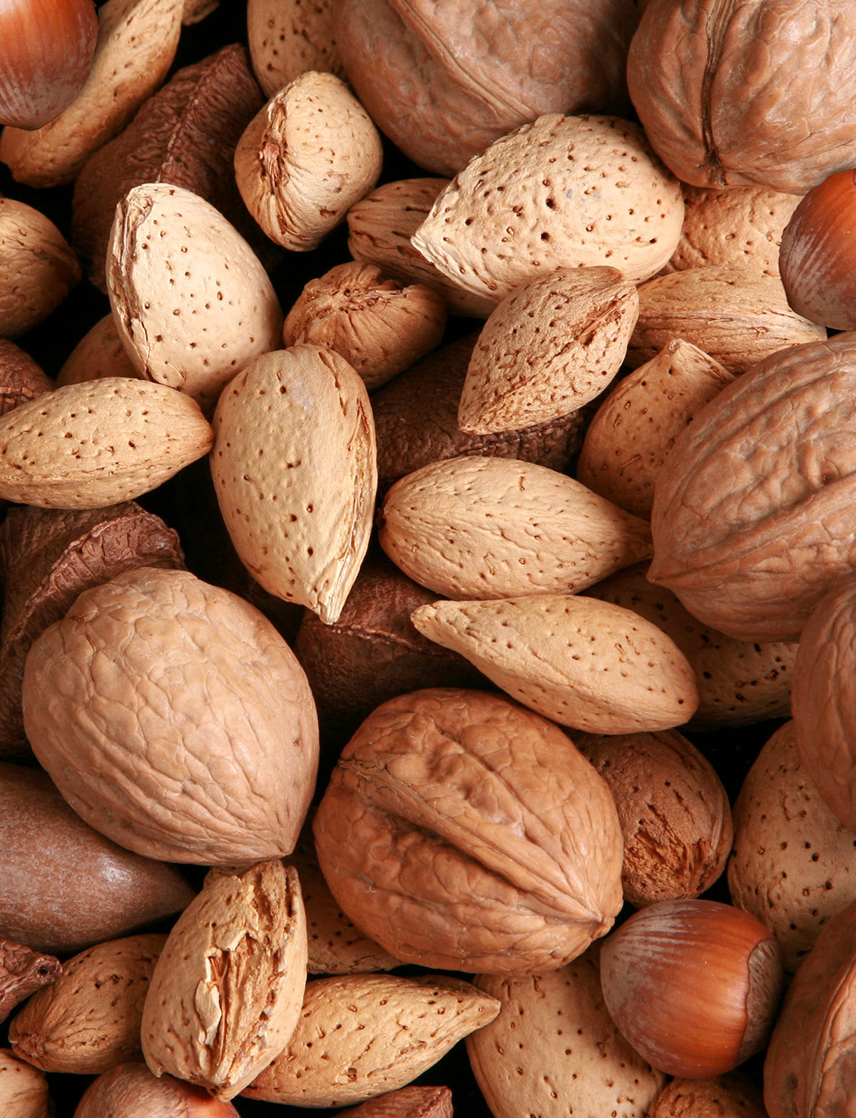 Anna and Sarah Premium Mixed Nuts in Shell – 4 Lb Bag | Walnuts, Pecans, Almonds, Hazelnuts