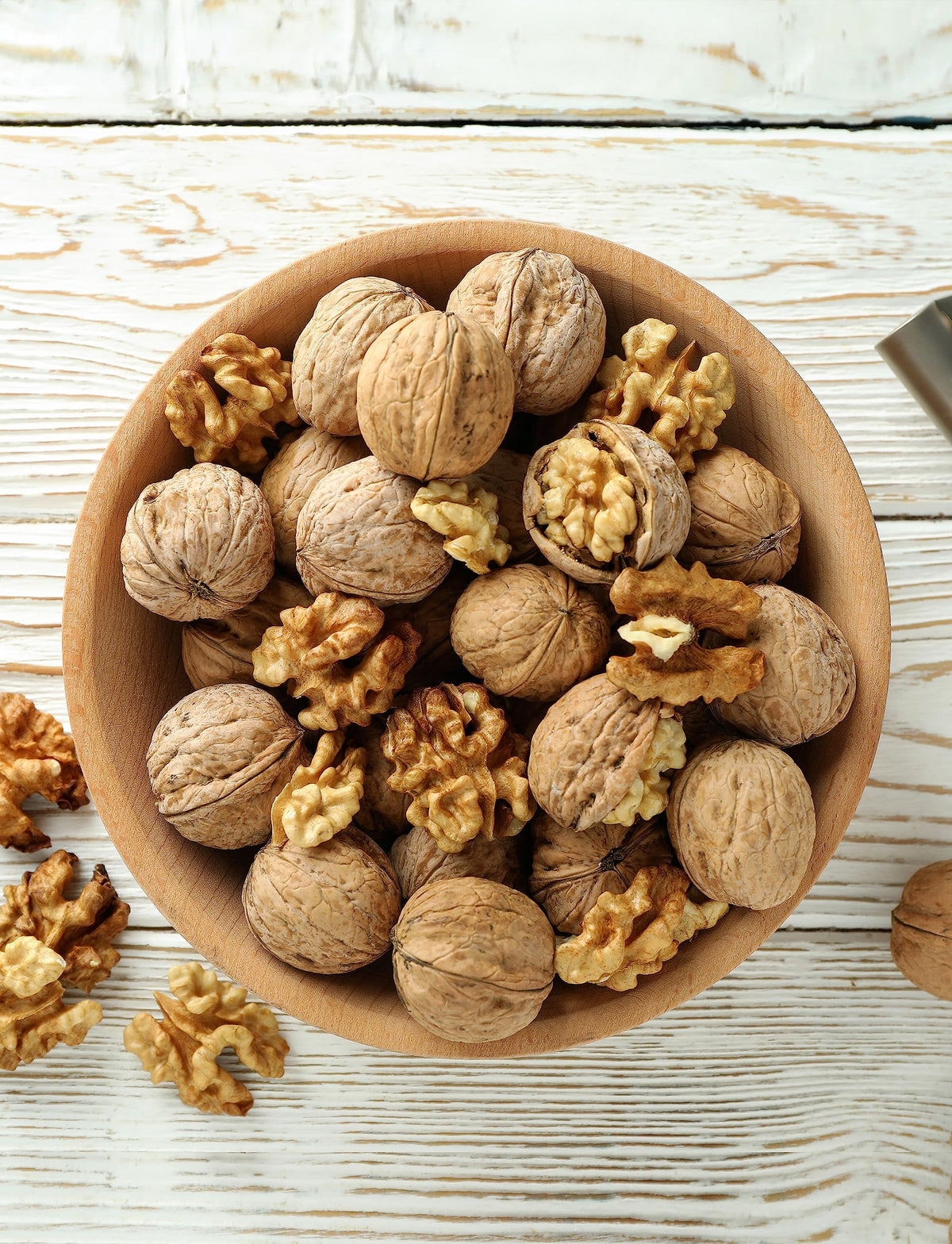 Anna and Sarah Walnuts in Shell – Jumbo California Chandler, Fresh & Not Bleached • 5.5 Lbs