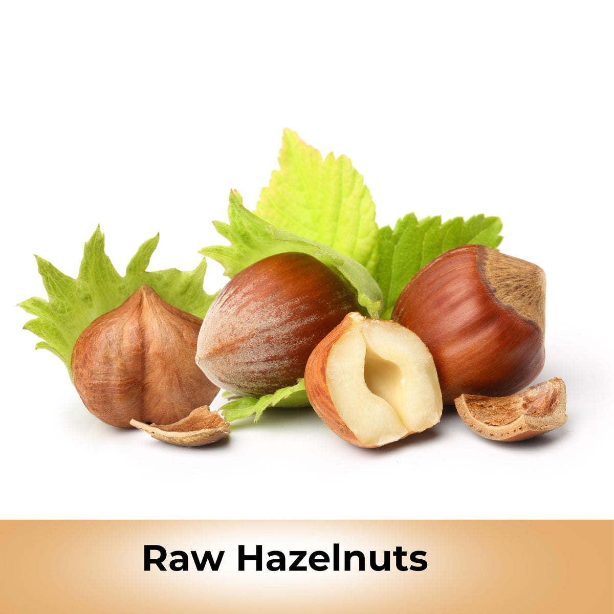 Raw Oregon Hazelnuts – Natural, Kosher, 3 Lbs | Anna and Sarah