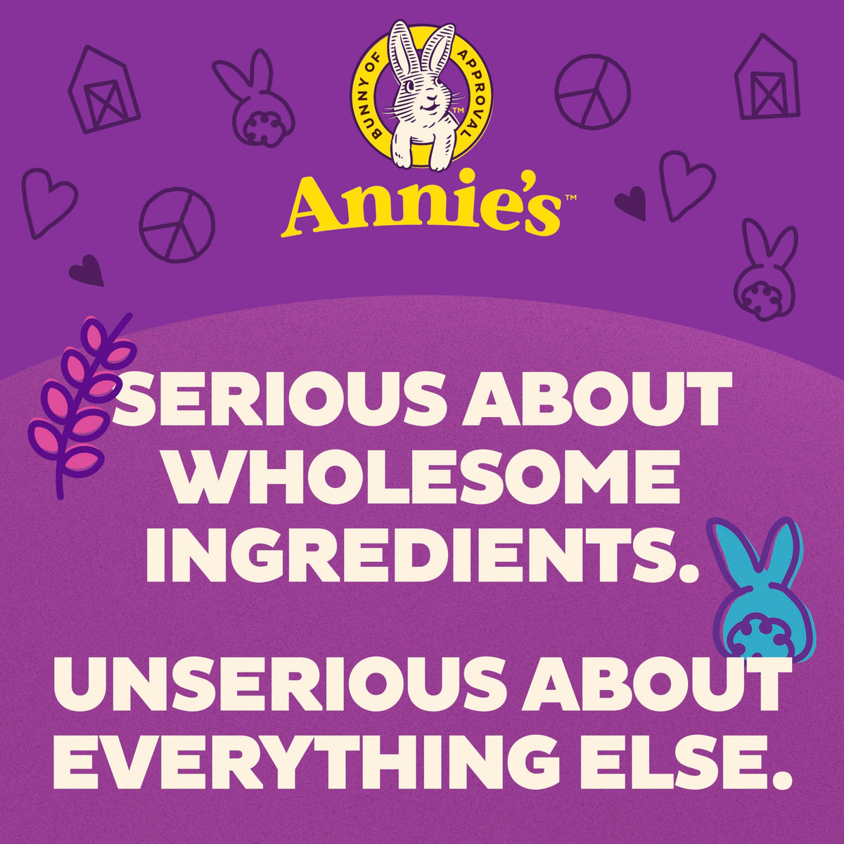 Annie's Organic Macaroni and Cheese Variety Pack: Shells & White Cheddar, Shells & Real Aged Cheddar (6 oz x12)