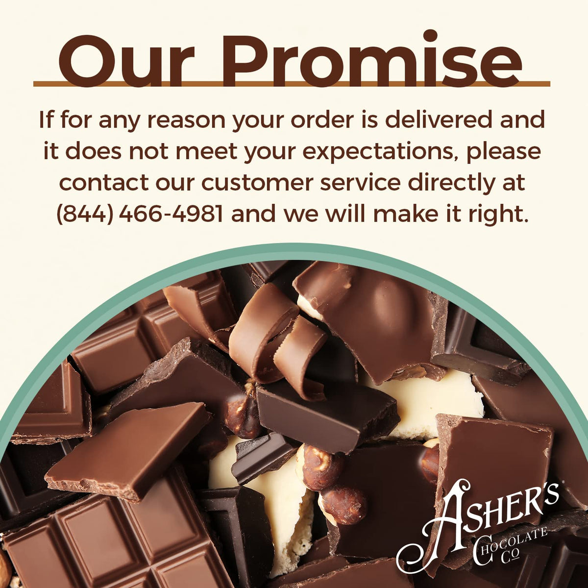 Asher's Chocolates Chocolate Covered Grahams – Milk Chocolate, 18 Count