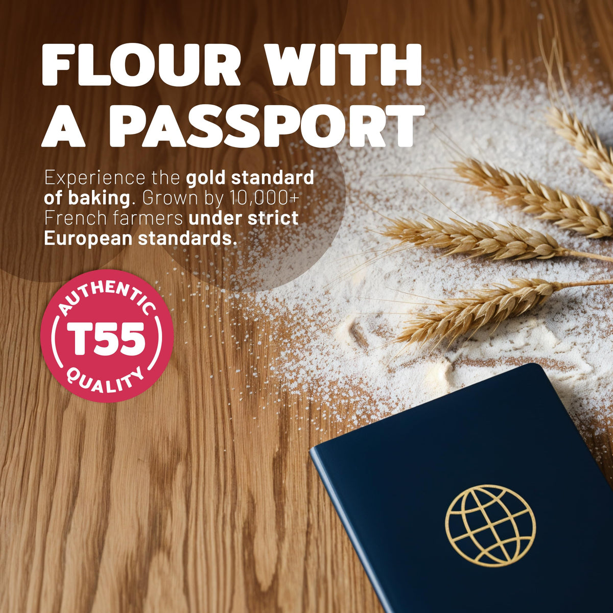 Aterra Mills T55 French All-Purpose Flour | Unbleached Bread Flour, 5kg