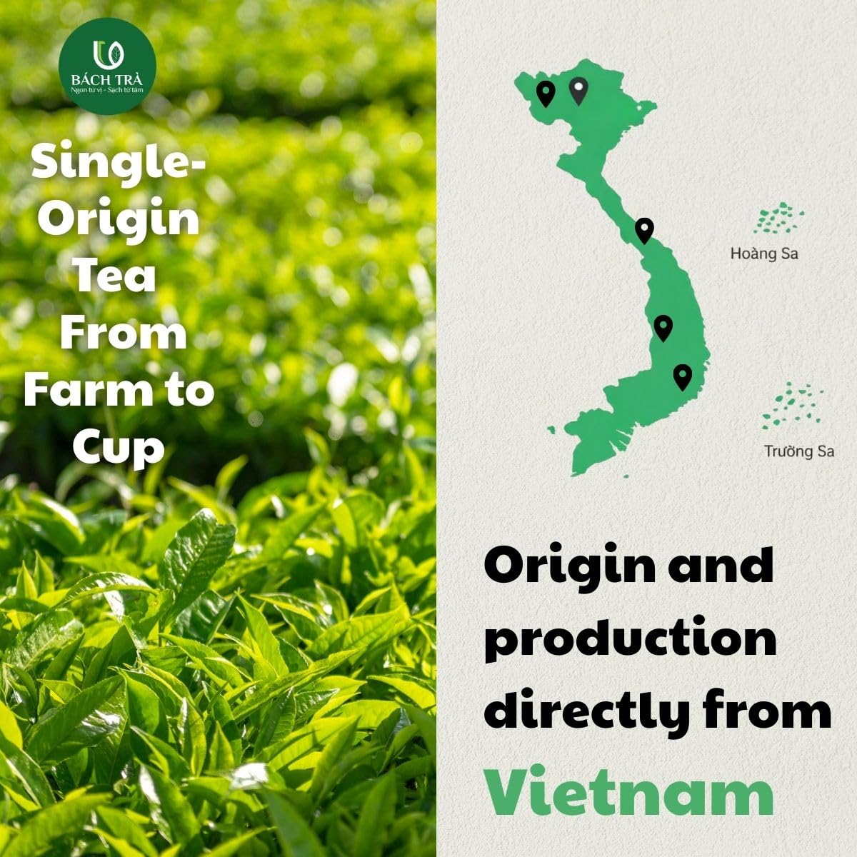 BACH TRA Green Tea Loose Leaf 17.64 oz – Thai Nguyen Tea Buds | Smooth, Low Caffeine | Large Value Pack