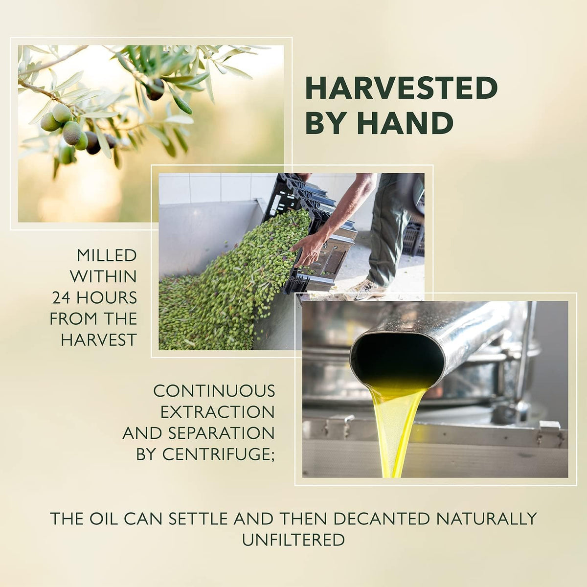 Barbera Frantoia Extra Virgin Olive Oil – 1L Sicilian EVOO (Biancolilla, Nocellara del Belice & Cerasuola) – Cold-Pressed Within 24 Hours