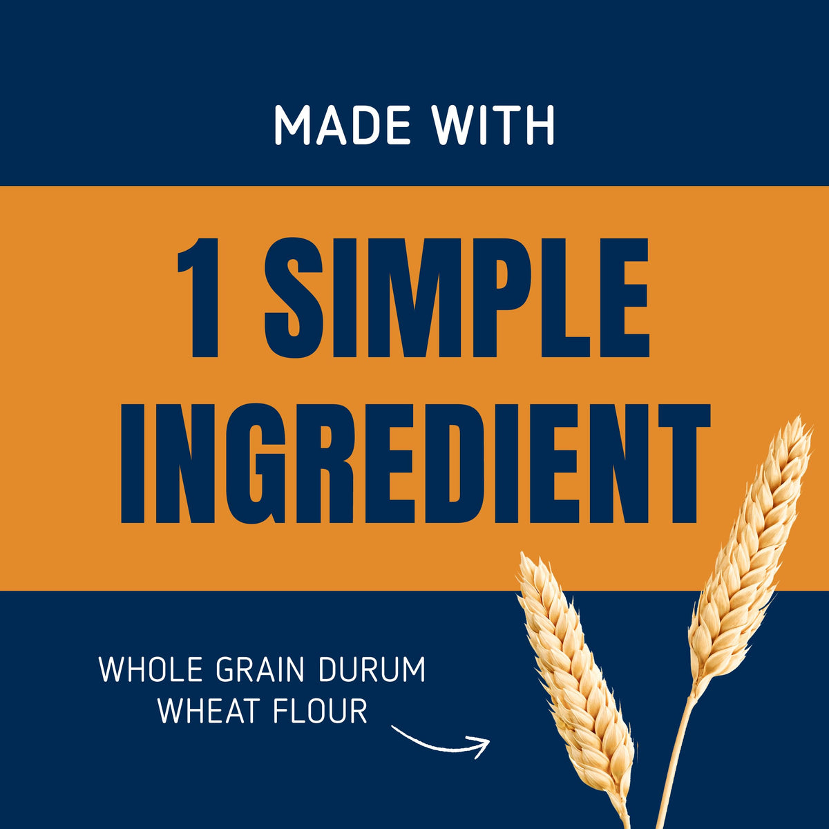 Barilla Whole Grain Rotini Pasta | 16 oz Box (Pack of 12) – 100% Whole Grain Durum, Non-GMO, High Fiber