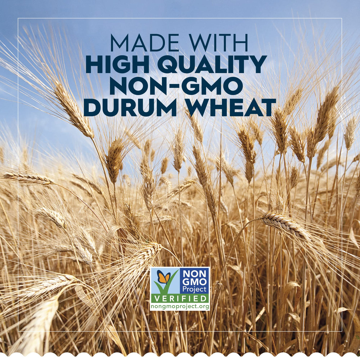 Barilla Ziti Pasta – 16 oz Boxes (Pack of 12) | Non-GMO Durum Wheat Semolina, Kosher