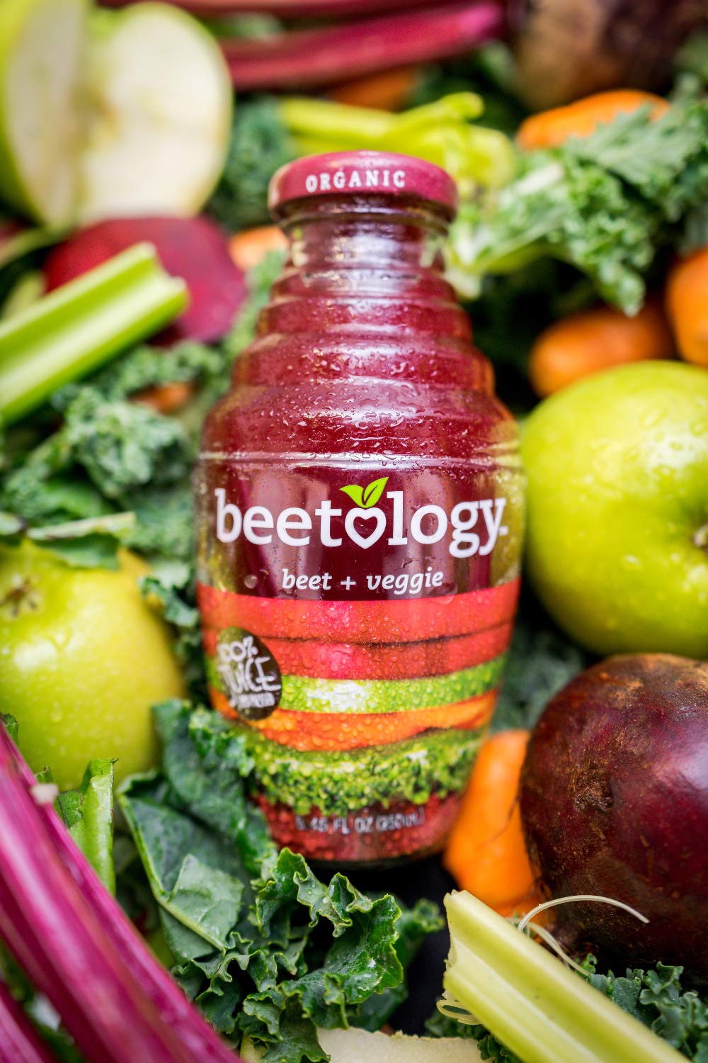 Beetology Organic Beet Juice Variety Pack – 6 Bottles (Beet + Veggie, Beet + Lemon Ginger, Beet + Cherry) | Vegan & Kosher