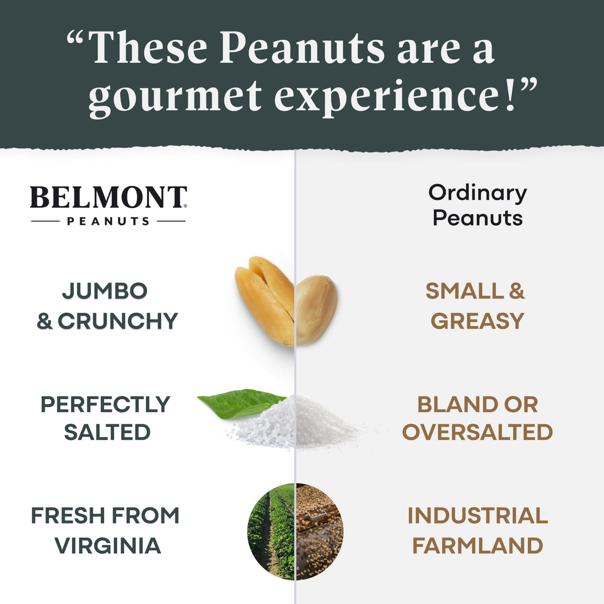 Belmont Peanuts: Gourmet Sea-Salted Virginia Peanuts, 20 oz