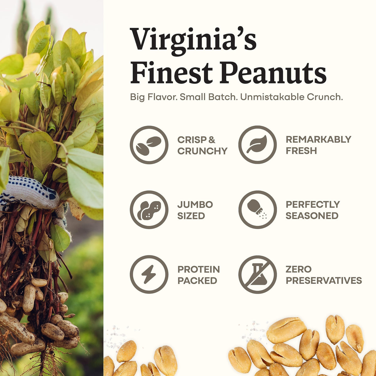 Belmont Peanuts Gourmet Sea-Salted Virginia Peanuts – 25 oz, 3 Ingredients, No Preservatives