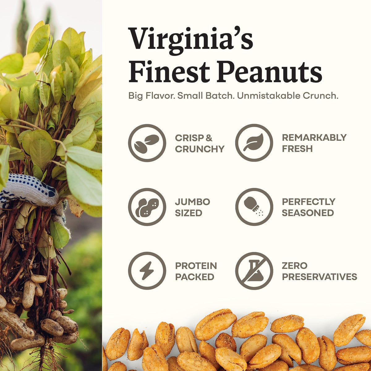 Belmont Peanuts Gourmet Chili Lime Virginia Peanuts, 20 oz – Simple Ingredients, No Preservatives, 7g Protein – Hand Seasoned, Crunchy, Citrusy, Spicy Snack