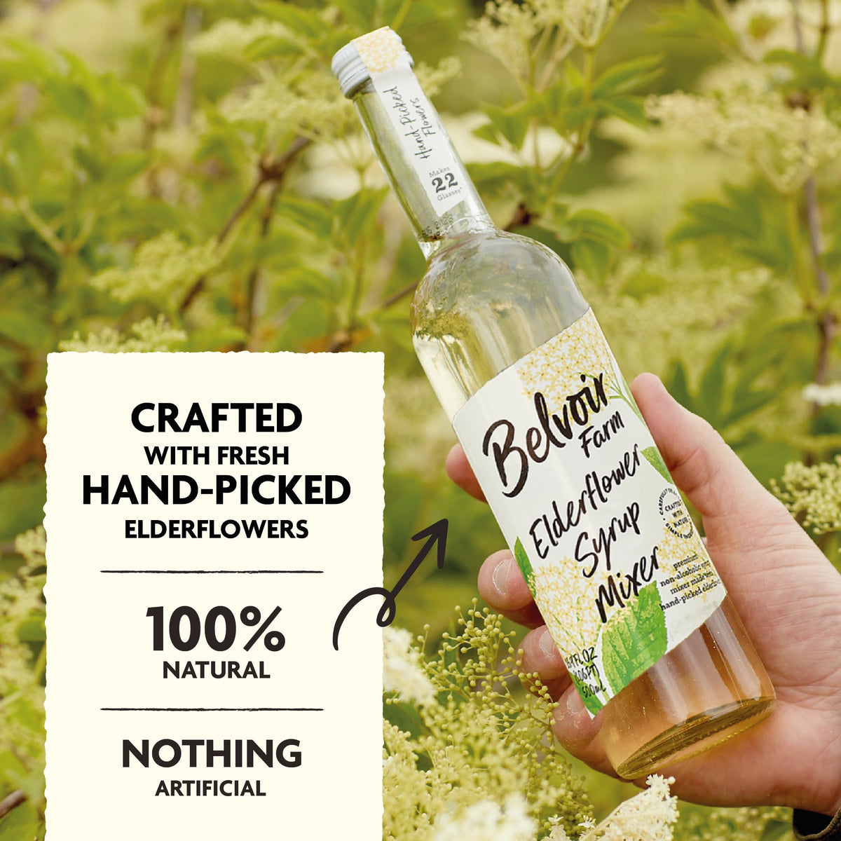 Belvoir Fruit Farms Elderflower Syrup Mixer (500ml) – Pack of 2 | Natural Drink Mix