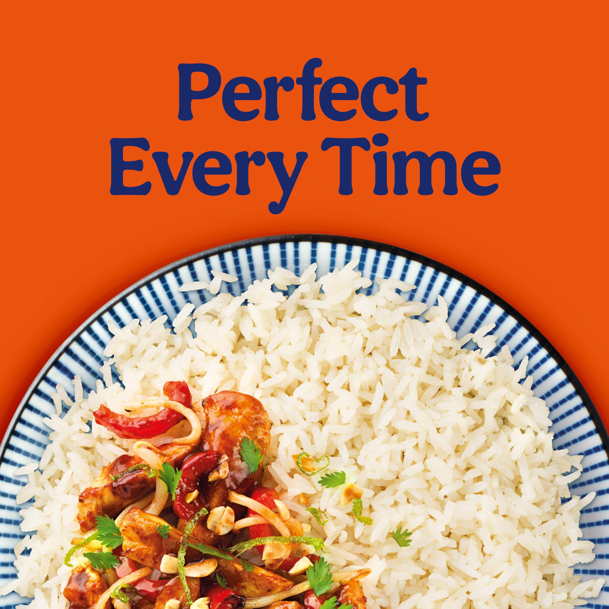 BEN'S ORIGINAL Ready Rice Coconut Jasmine Flavored Rice - 8.5 oz Pouch (Pack of 12)