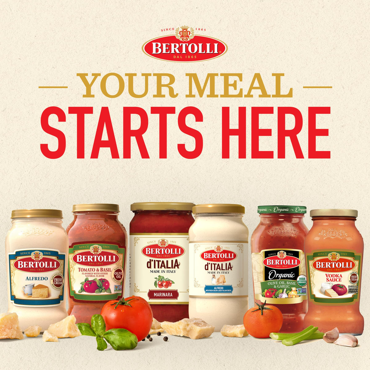 Bertolli d'Italia Alfredo Sauce - Made in Italy, 16.9 oz (Pack of 6)