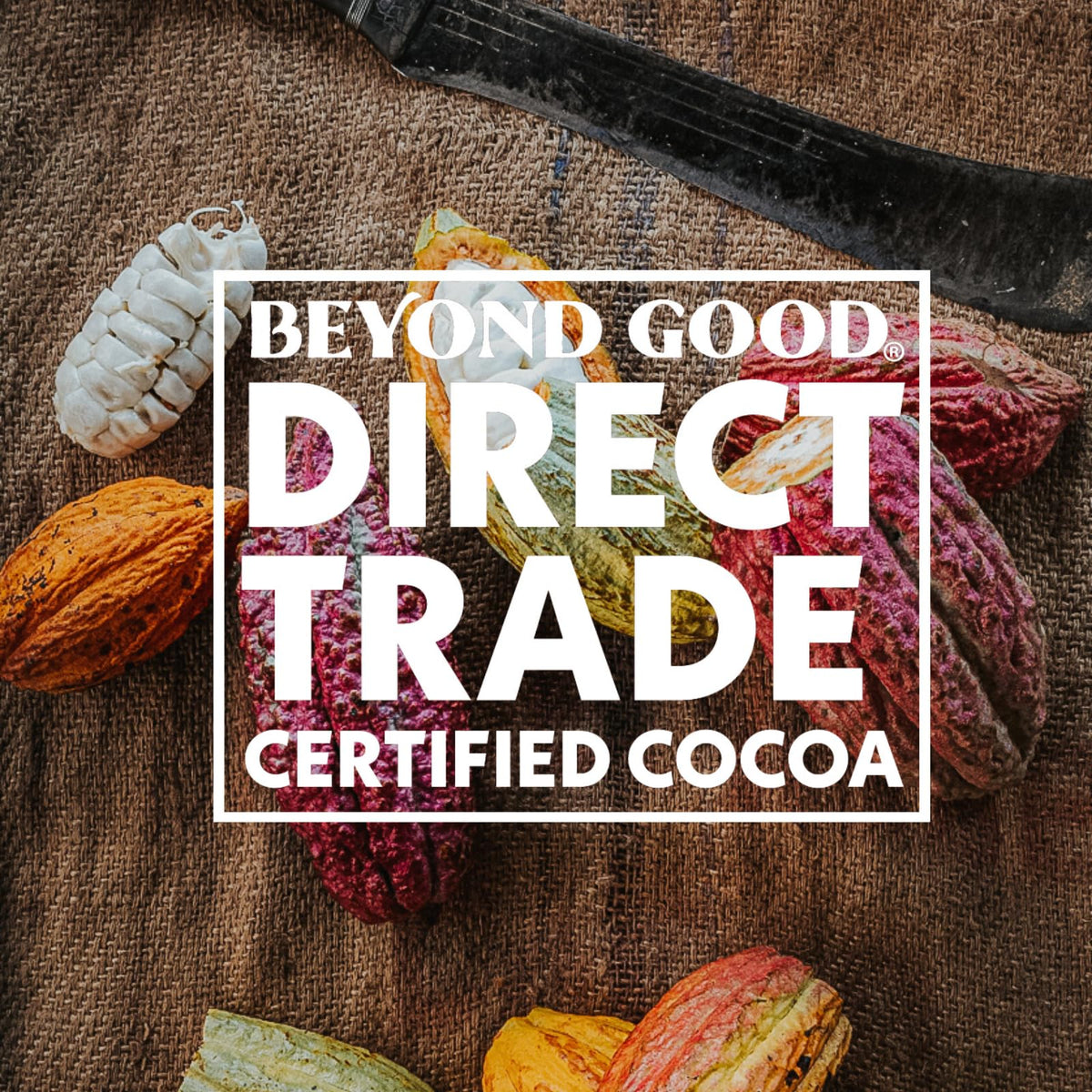 Beyond Good 63% Cocoa Dark Chocolate with Sea Salt | 6 Pack - Organic, Direct Trade, Vegan