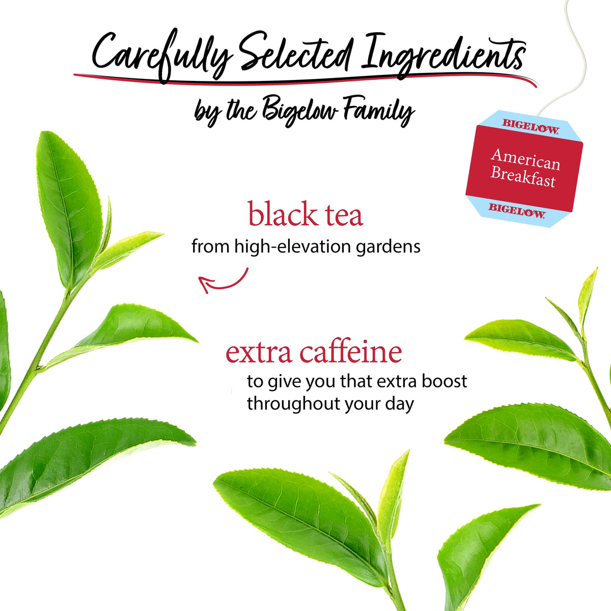 Bigelow Tea American Breakfast Black Tea Bags – Caffeinated, 120 Bags (6 x 20-count)