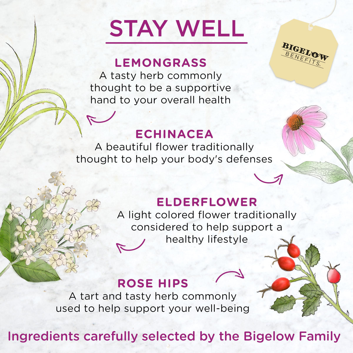 Bigelow Benefits Stay Well Lemon & Echinacea Herbal Tea – Caffeine Free, 108 Bags (6-Pack)
