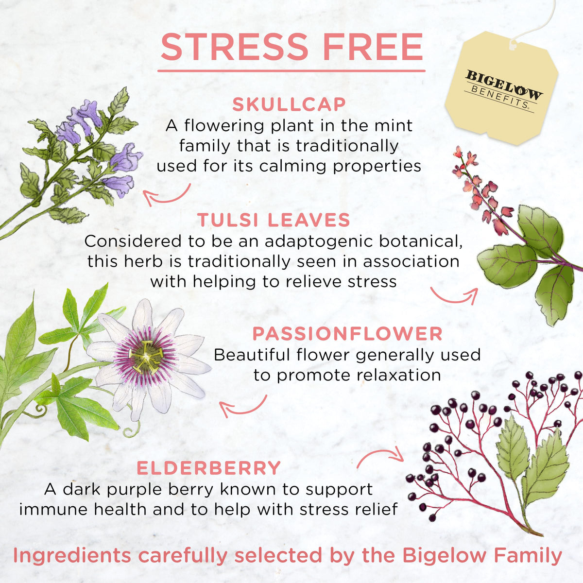 Bigelow Benefits Stress Free Rose & Mint Herbal Tea – Caffeine Free, Gluten Free, Pack of 6 (108 Total Tea Bags)