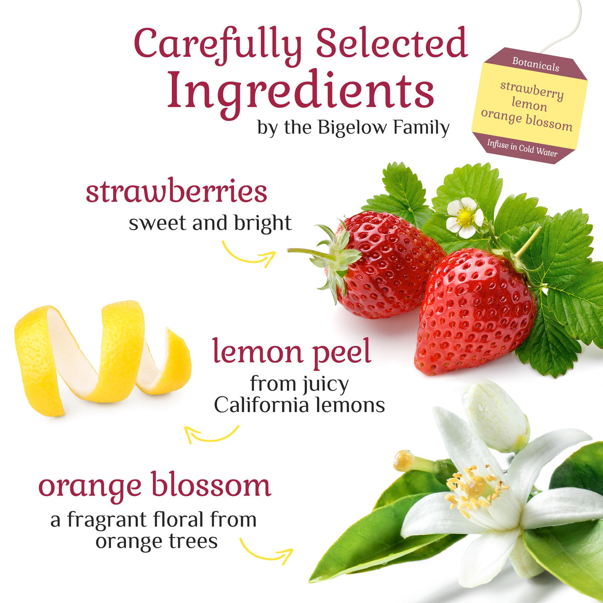 Bigelow Botanicals Cold Water Infusion Strawberry Lemon Orange Blossom – Caffeine Free Herbal Tea, 108 Bags (6-Pack)