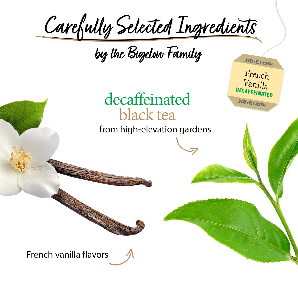 Bigelow Tea Decaffeinated French Vanilla Black Tea — 120 Bags (Pack of 6)