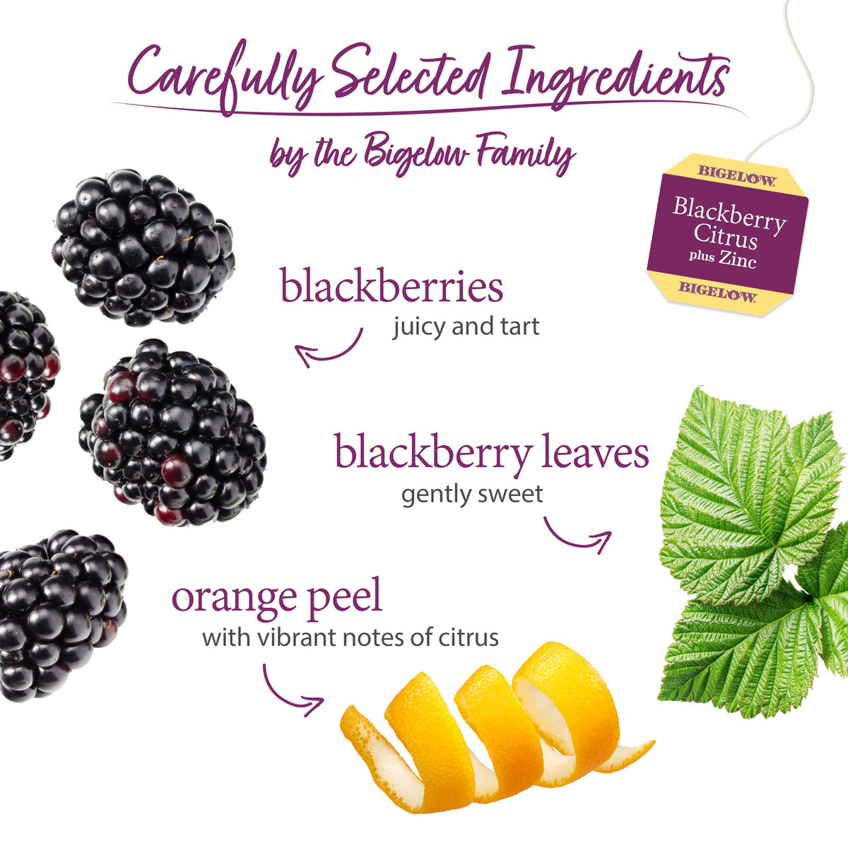 Bigelow Blackberry Citrus Plus Zinc Herbal Tea — Caffeine Free, 108 Bags (6 Pack)