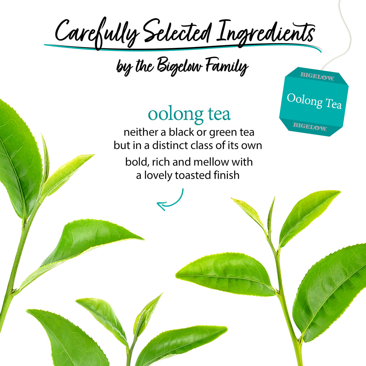 Bigelow Tea Oolong Tea - Caffeinated, Smooth Flavor, 120 Bags (Pack of 6)