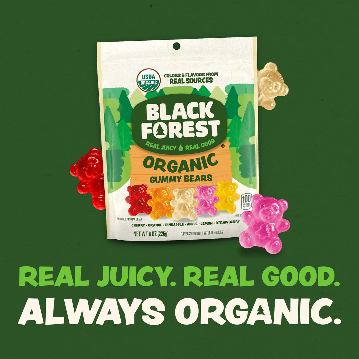 Black Forest Organic Gummy Bears Candy — 8 oz Bags (Pack of 6)