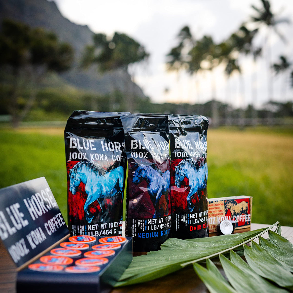 Blue Horse Kona Coffee Pods - 100% Kona, Medium Roast, 10ct, Keurig 2.0 Compatible, Farm-Fresh Arabica from Hawaii