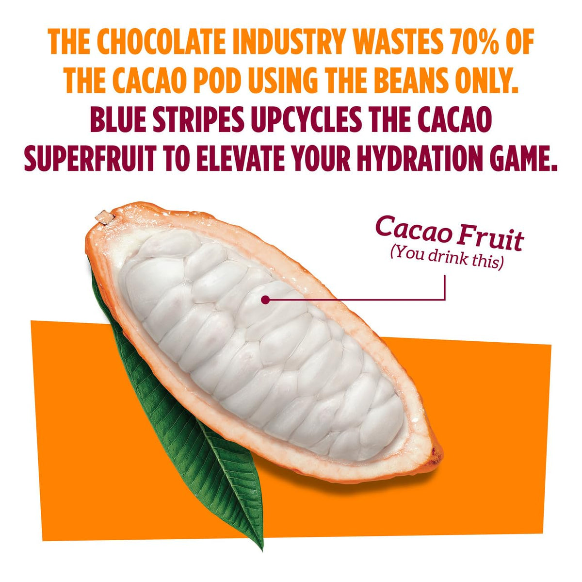 Blue Stripes Cacao Water (Just Cacao) – All-Natural Hydration with Electrolytes & Antioxidants | 12 Pack