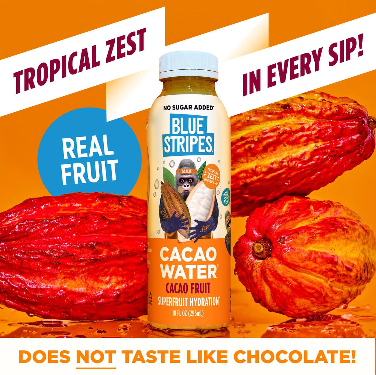 Blue Stripes Cacao Water (Just Cacao) – All-Natural Hydration with Electrolytes & Antioxidants | 12 Pack