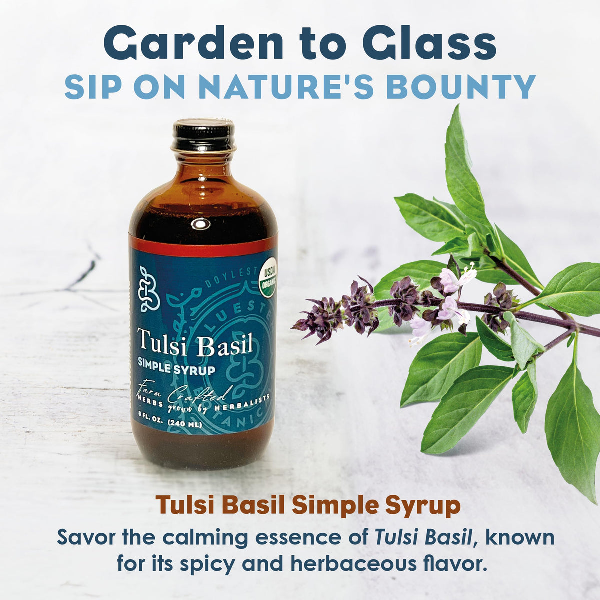 Bluestem Botanicals Organic Tulsi Basil Simple Syrup – 8 oz, Cocktail & Mocktail Mixer