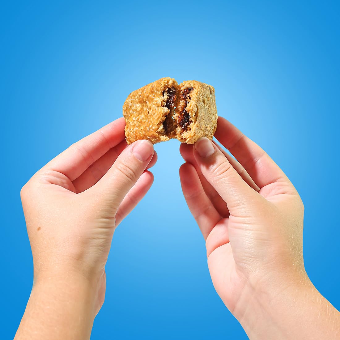 Bobo's Fig Bars Variety – Original & Blueberry (12 Bars) | Gluten Free, Plant-Based, Whole Grain Oats