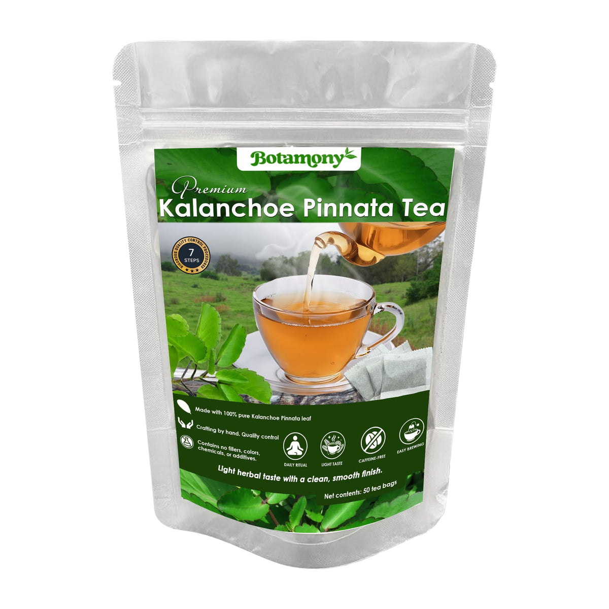 BOTAMONY Kalanchoe Pinnata Tea – 50 Filter Bags, Leaf of Life Tea, Single-Ingredient Dried Leaves