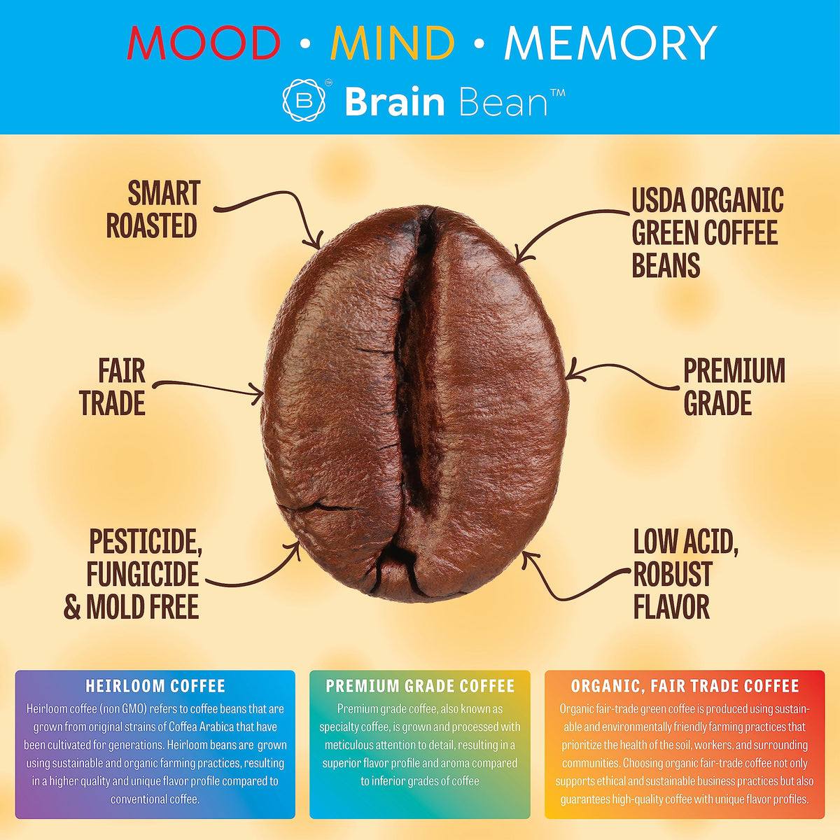Brain Bean Organic Coffee – Smooth Medium Roast, High Antioxidants, USDA Organic – 16 oz Whole Bean