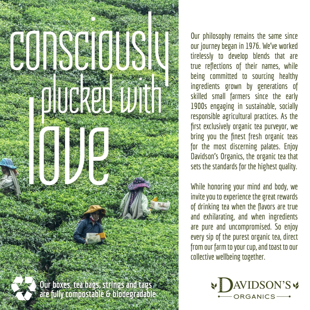 Davidson's Organics Singell Darjeeling Loose Leaf Tea — 16 oz Bag