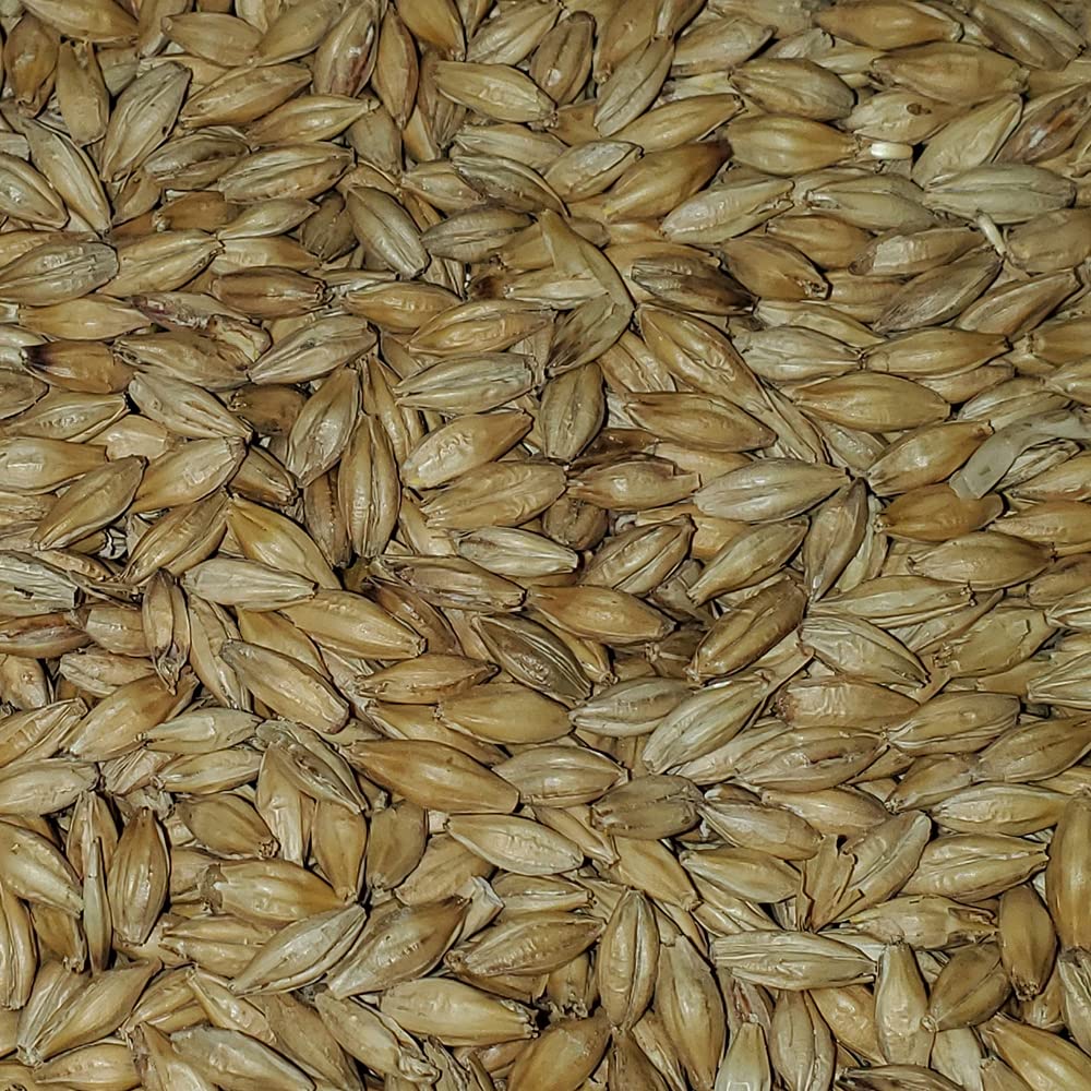 Briess 2-Row Brewers Malt – Base Malt for Home Brewing, 10 lb