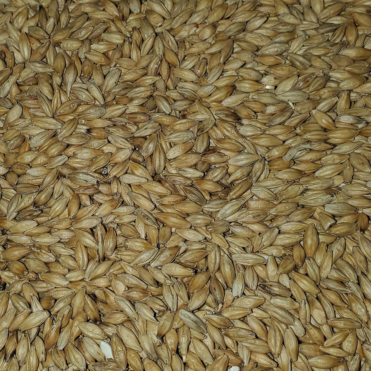 Briess 2-Row Brewers Malt – Base Malt for Home Brewing, 10 lb