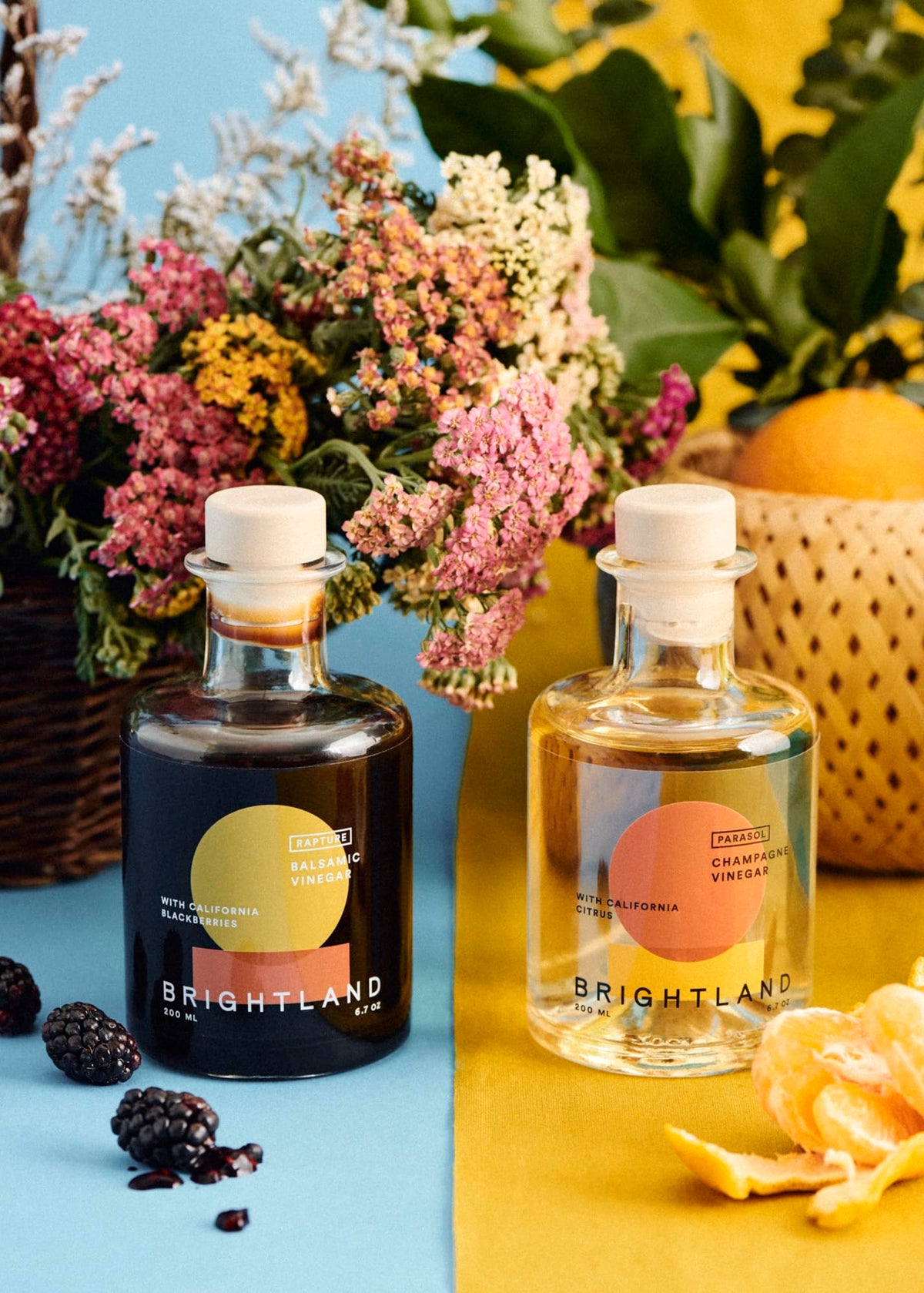 Brightland The Vinegar Duo: Balsamic & Champagne Vinegars, 6.7 oz Each – Artisanal, Fruit-Forward Flavors