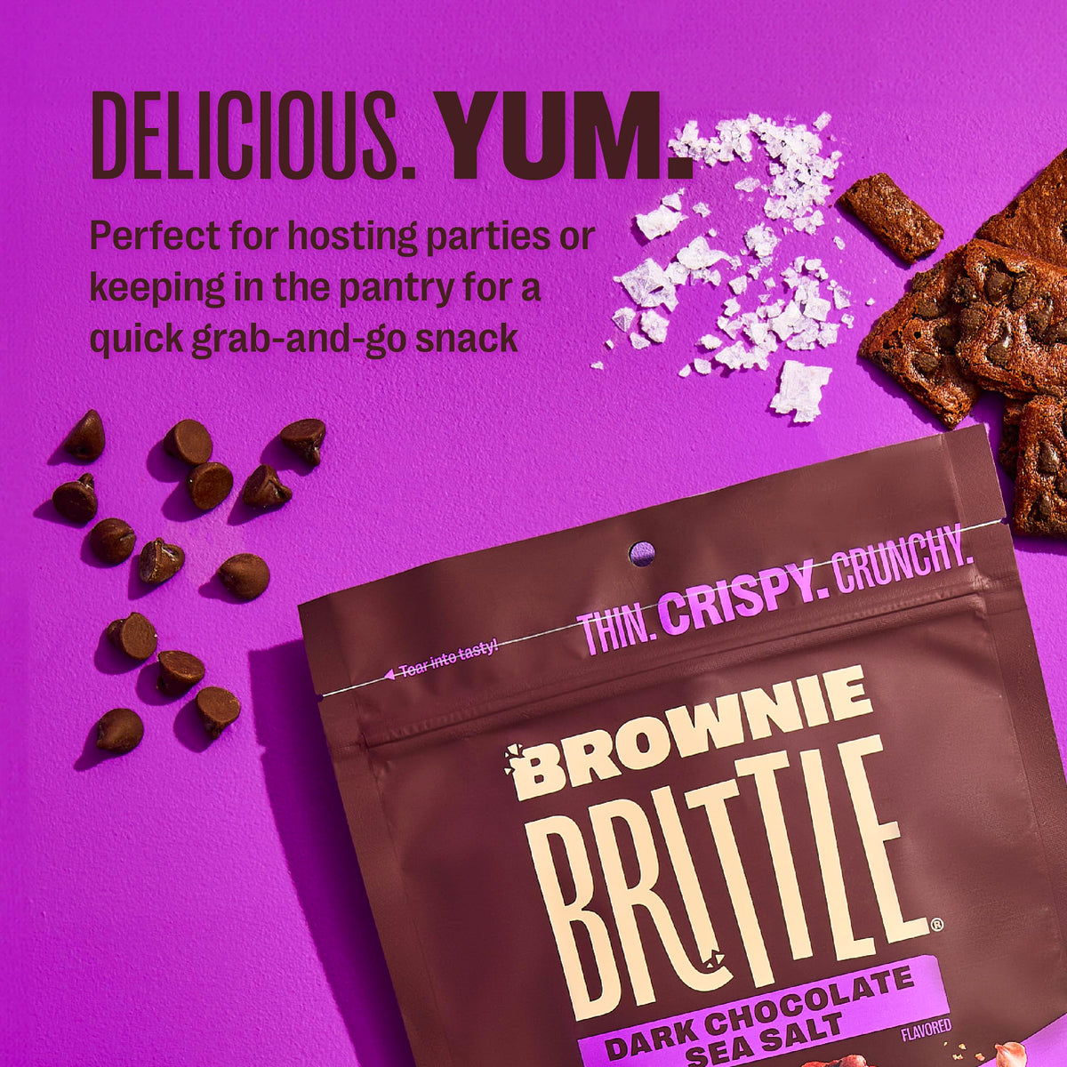 Brownie Brittle Dark Chocolate Sea Salt – Pack of 6, Crispy Gourmet Brownie Bites